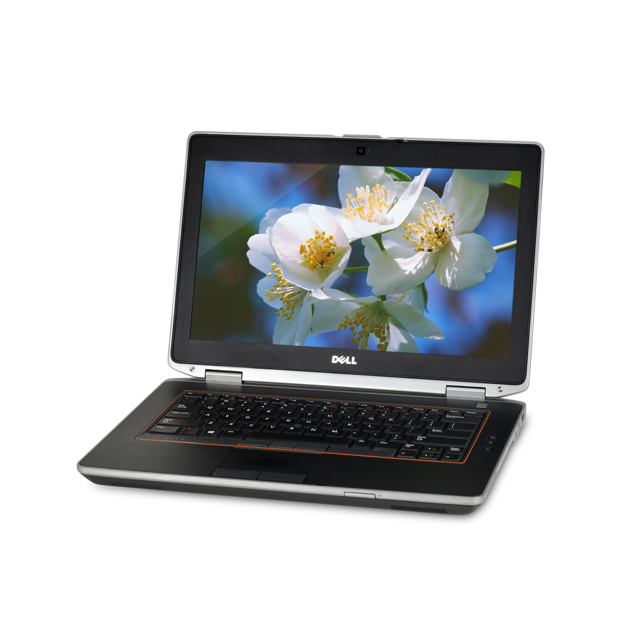Dell Latitude E6520 - 15.6
